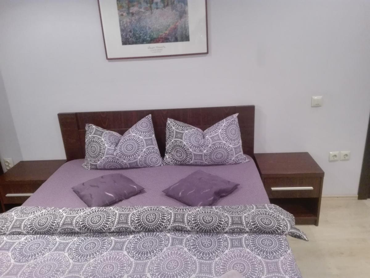 Casa De Vacanta Silvia Vărmaga Rom bilde