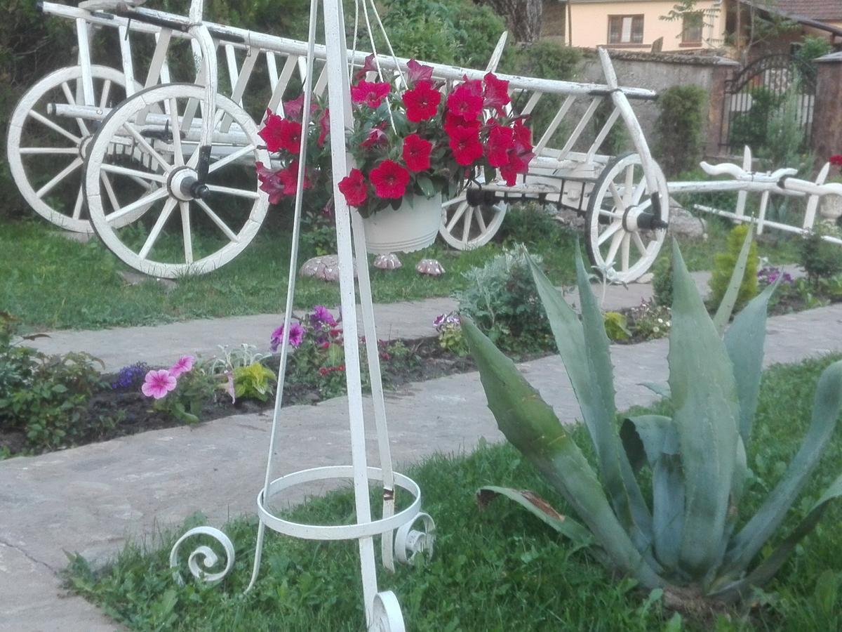 Casa De Vacanta Silvia Vărmaga Eksteriør bilde